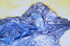 S1De